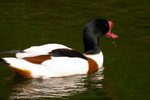 
CRW_2436