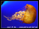 DSCN1824C1