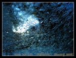 DSCN5496 copy
