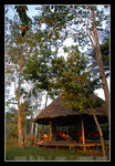 chilling out @ the amazon
