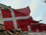 DSCN8581