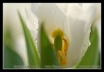 DSC_0329C2