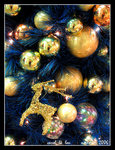 IMG_6898R1