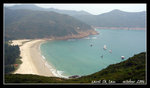 浪茄