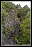 looking STEEP... 