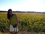 on the way from rousillon to marseilles in france