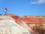 
PICT0206R600