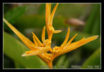 DSC_0182C1