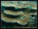 P1010718C1