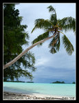 Ngemelis Island