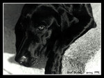 
shot by 4x5 camera - amazing peidan stayed still for a 15s shot!!!