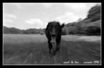File0534sr12c