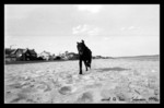 having fun @ sagamore beach, cape cod bay