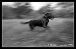 File0722sc