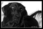 being my BEST model & companion, peidan had all the priviledges to shoot before models came in the studio