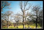
sonora, tuolumne county
