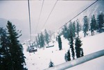 alpine meadows 025