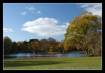 for some odd reasons, i always return to this park when i visit Malmö 