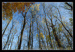 DSC_0893C1
