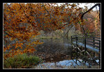 DSC_1079C1