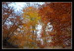 DSC_1083C1