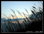 125_2554sr1c