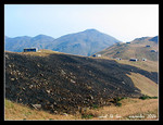 laan tau mountain camp 大 東 山 「 爛 頭 營 」