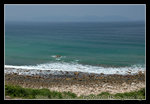 DSC_0528C1