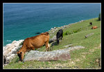 DSC_0542C2
