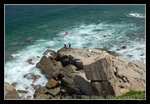DSC_0564C1
