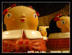 DSCN8288C1