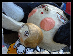 DSCN8301C1