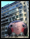DSCN8309C1