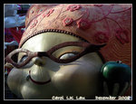 DSCN8335C1