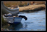 DSC_0443C1