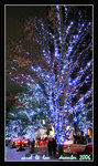 x'mas illumination @ roppongi hills