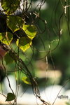  �ӽ��b�b 027