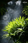  �ӽ��b�b 031