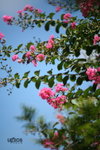  �ӽ��b�b 055