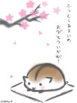5MOUSE