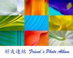 Flower-9 copy