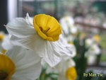17Feb2007