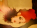 DSCN5822