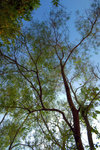 sDSC_8929