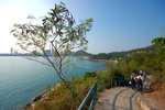 sDSC_8934