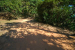 s20051211_0013