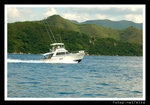 sDSC_8364