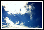sDSC_8389