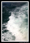 sDSC_8405