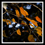 s20071028_0156